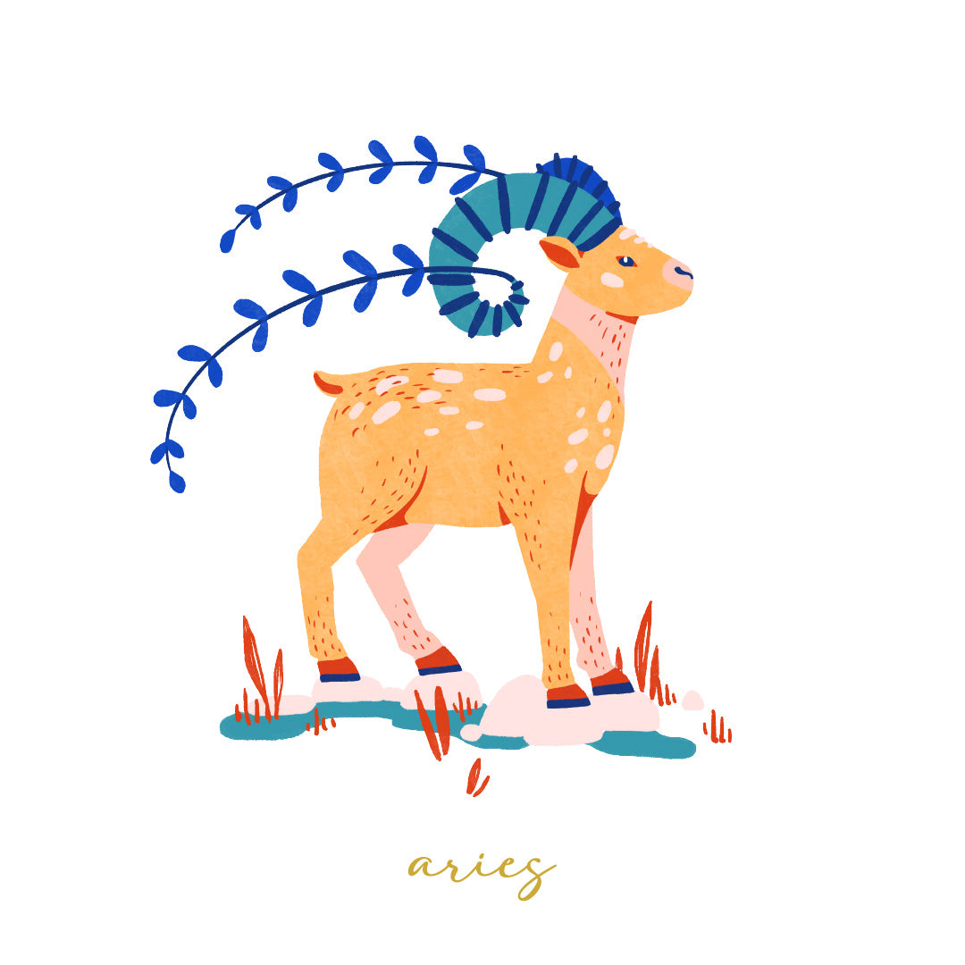 Saucer - Aries
