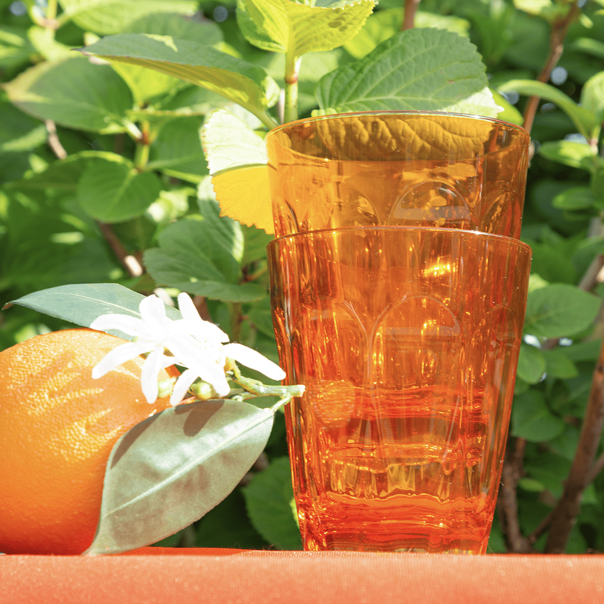 Set of 6 Water Glasses - Aqua