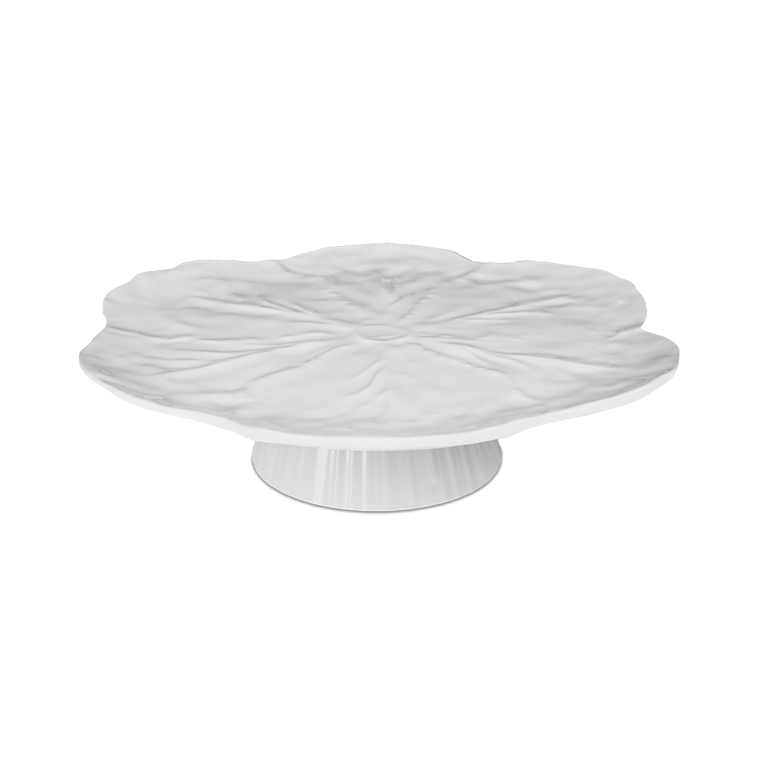 Alzata Torta - Botanica