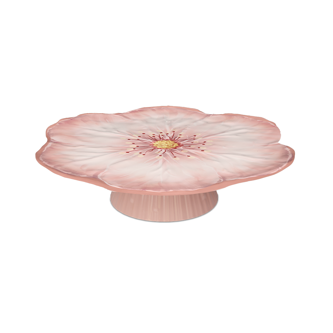 Alzata Torta - Botanica