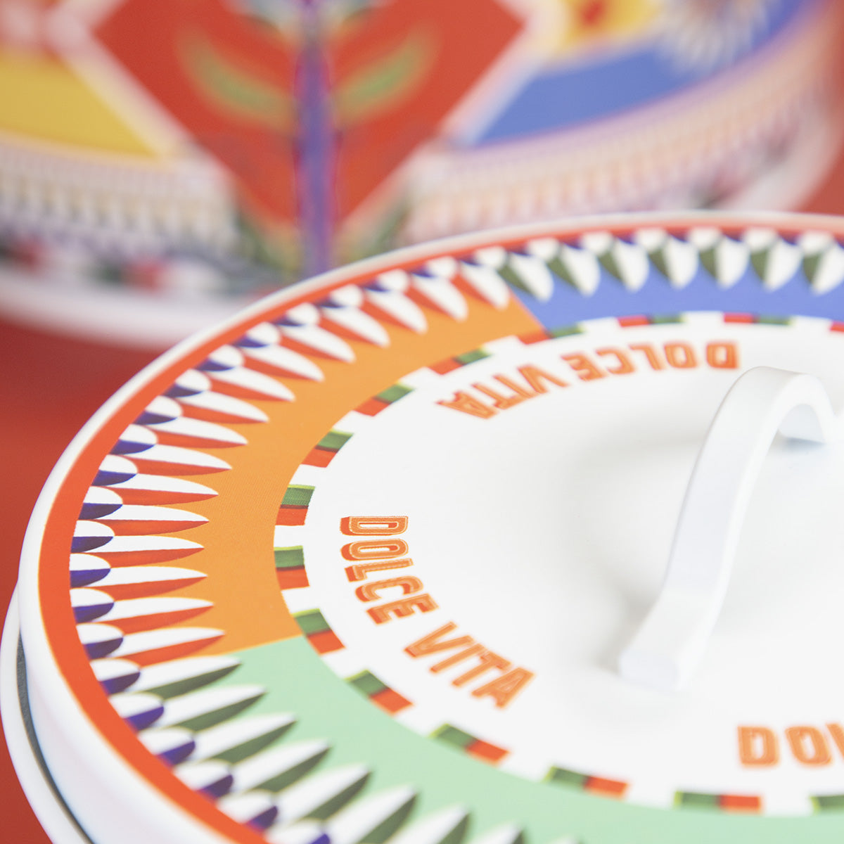 Box Porta Torta - Grande