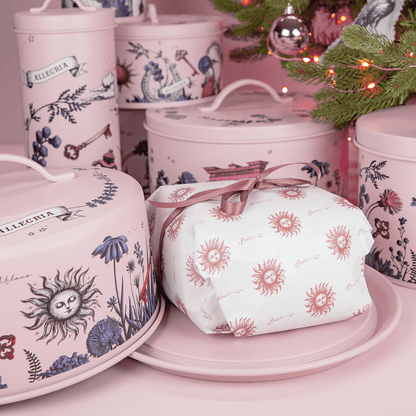 Box aperitivo e Panettone salato 400g