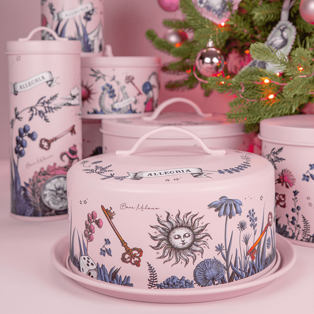 Box aperitivo e Panettone salato 400g