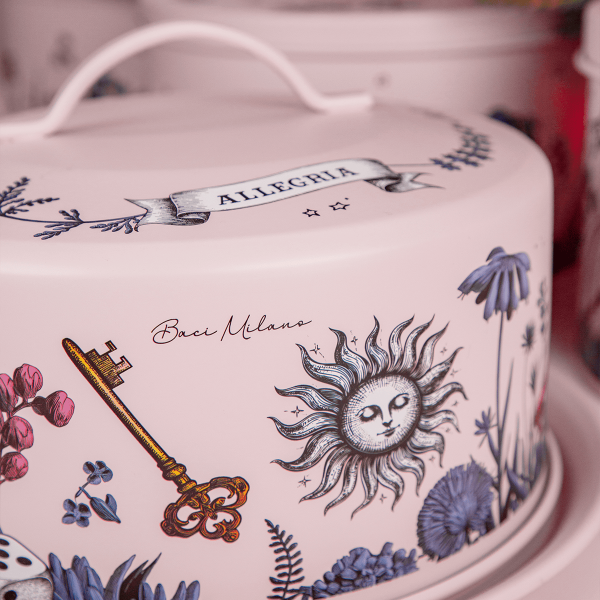 Box aperitivo e Panettone salato 400g