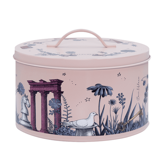 Box Porta Torta - Grande