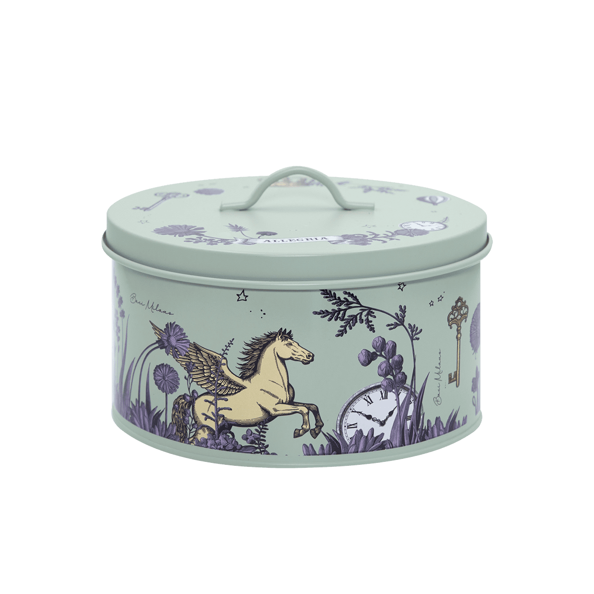 Box Porta Torta - Medio