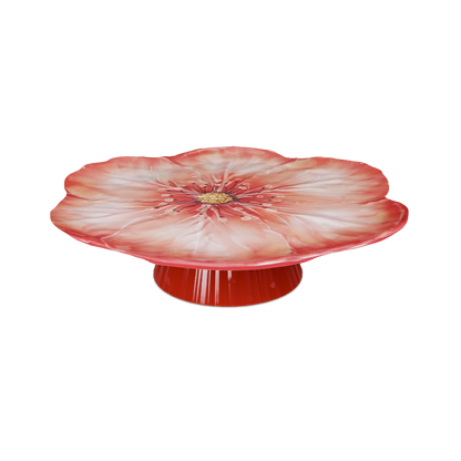 Alzata Torta  - Botanica