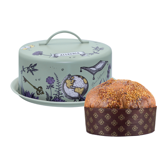 Box aperitivo e Panettone salato 400g