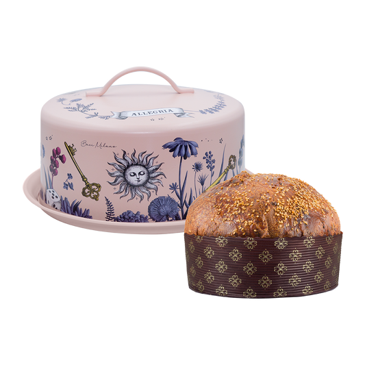 Box aperitivo e Panettone salato 400g
