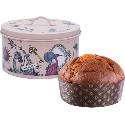 Box Gourmet: Panettone fichi e cioccolato bianco 400g