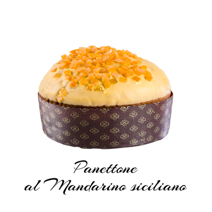 Box degustazione: 2 Panettoni assortiti